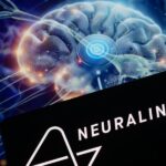 ‘Blatant Conflict’: Fired FDA Workers Were Reviewing Musk’s Neuralink