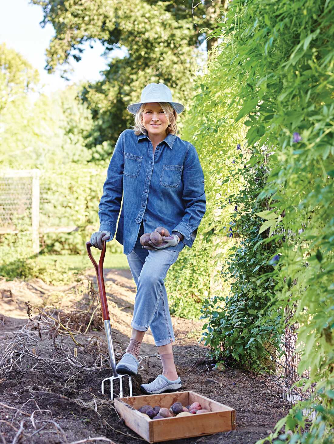 Martha Stewart harvesting potatoes in 2016 in Bedford, N.Y.