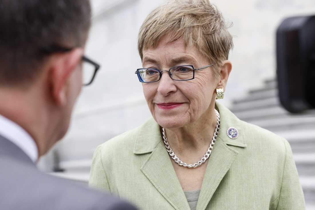 Democrats in Trump-won districts call on party to rebrand