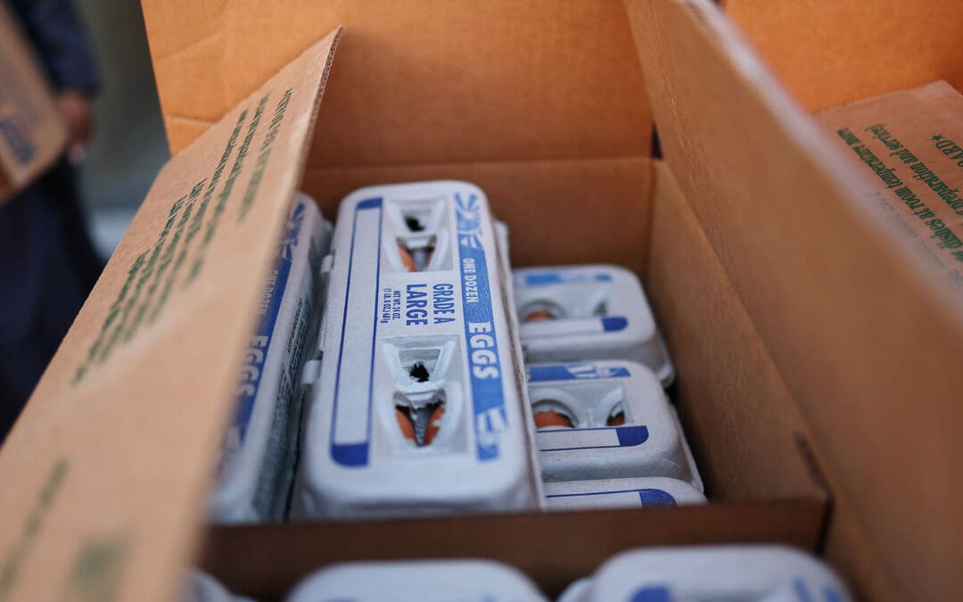 Big Ag Is Blaming High Egg Prices on Cage-Free Laws