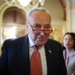 Chuck Schumer and the Wildfire: A Parable