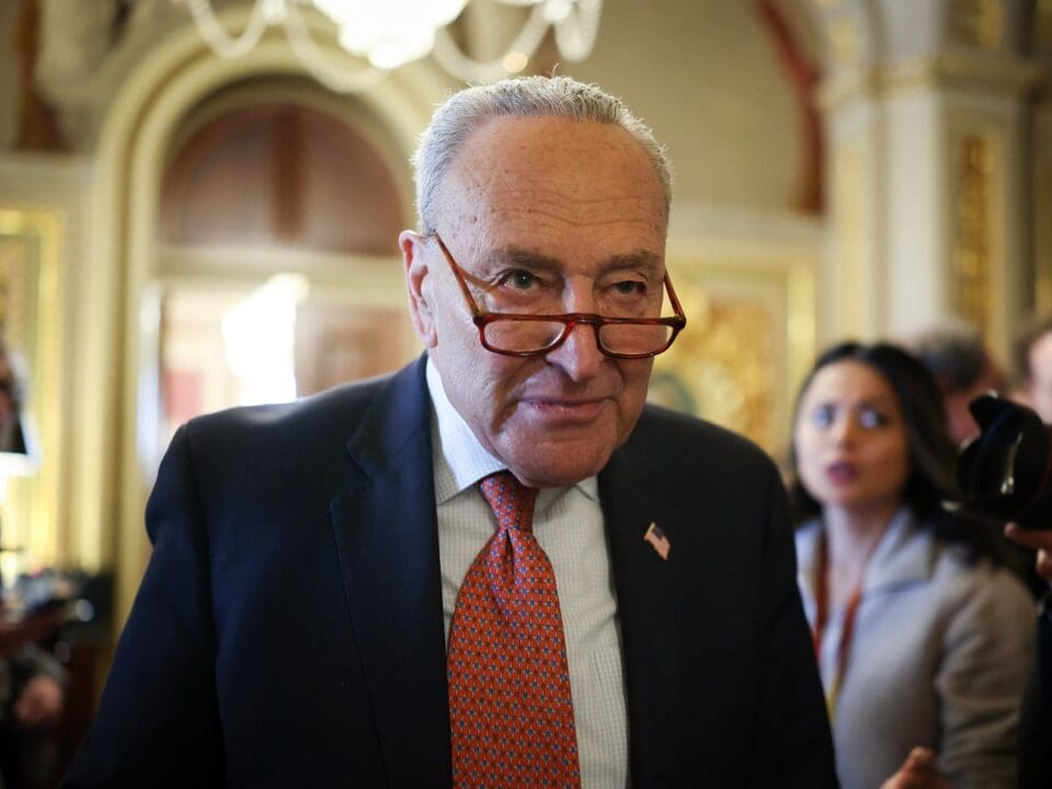 Chuck Schumer and the Wildfire: A Parable