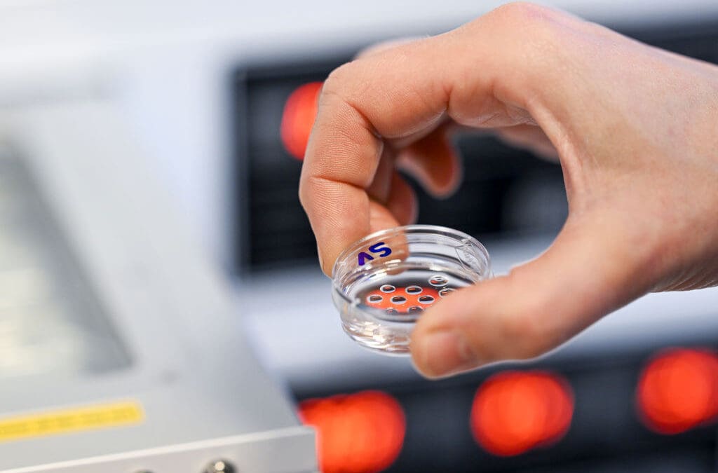 IVF Patients Might Be Getting Scammed by Private Equity