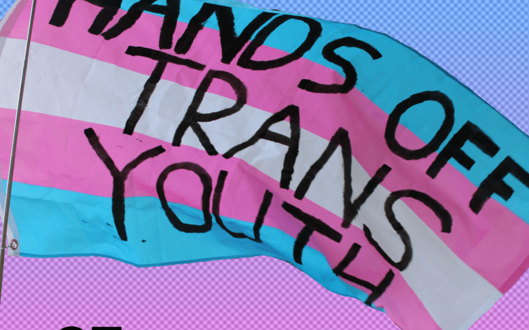 New SDS Commemorates Trans Day of Visibility