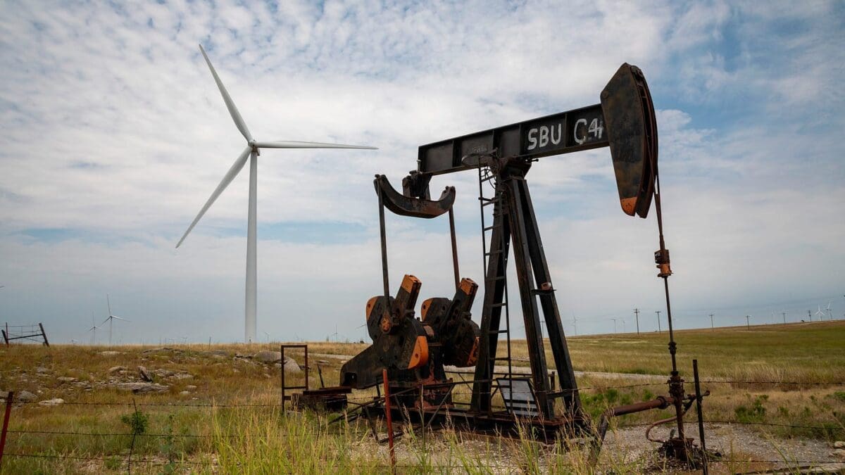 Oops, DOGE Did It Again