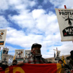 “Pink Slime Journalism” Takes Aim at Greenpeace