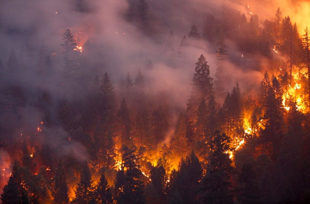 When a Wildfire Comes for Your Home, Will DOGE Stop It?