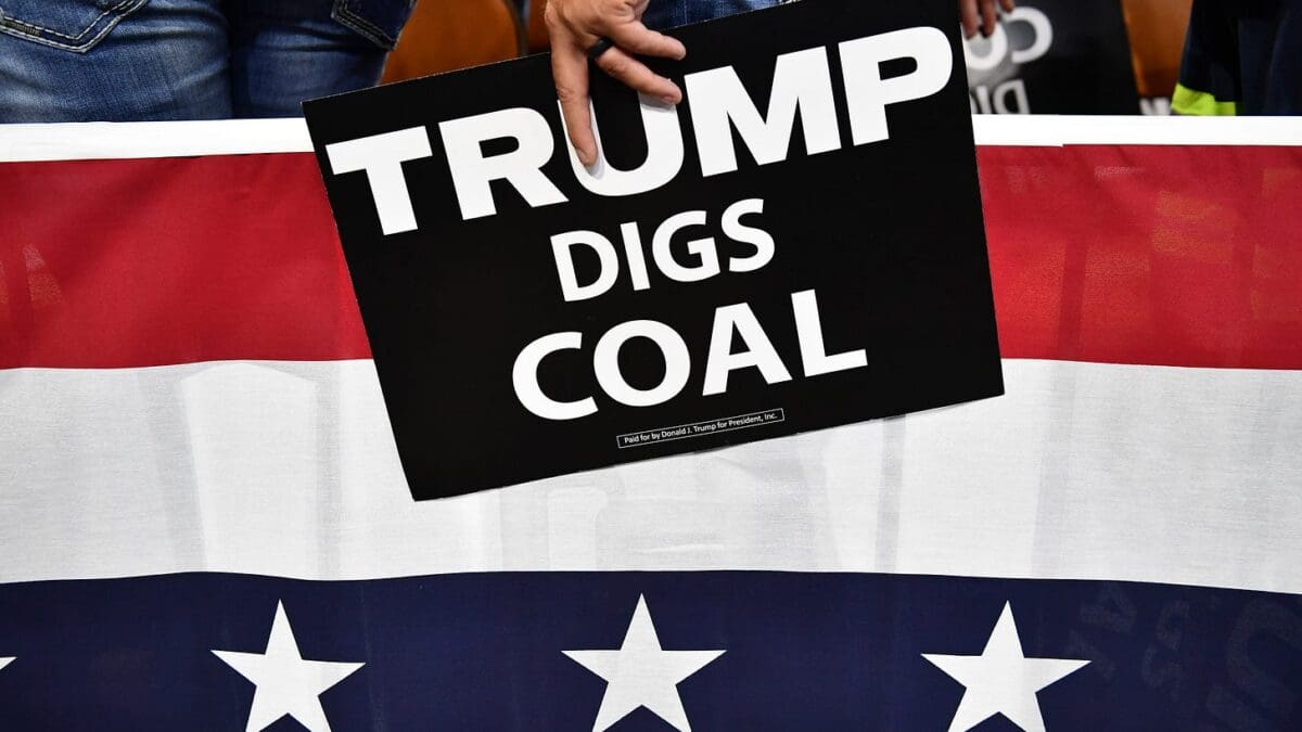 A Clown in a China Shop